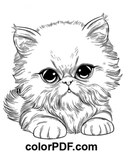 Schwarzes Perserkätzchen Ausmalbild