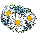 Daisy Flower Design