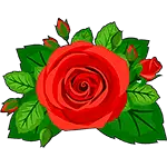 Pączek róży