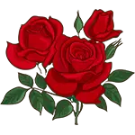 Rose da giardino