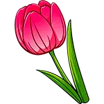 Enkel tulipan