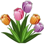 Tulipány květiny