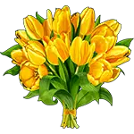 Buquê de tulipas