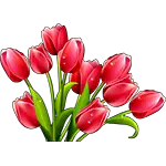 Realistiske tulipaner