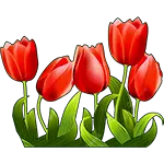 Tulipanhage